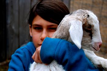 "Taming Kids Civilizes Humanity..." "Taming Kids Civilizes Humanity..."