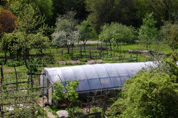 Summer 2019 Classes at Laughing Dog Summer 2019 Classes at Laughing Dog