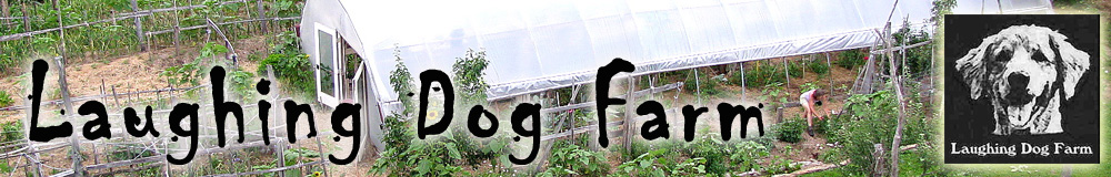Laughing Dog Farms